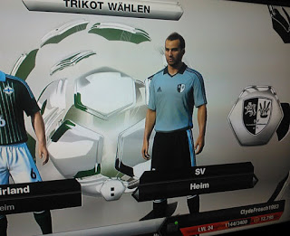 fifa13